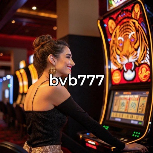 bvb777